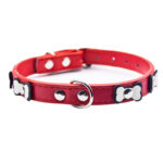 Collar para Mascota con Adorno