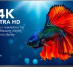 TV Insignia 65 Pulgadas 4K UHD