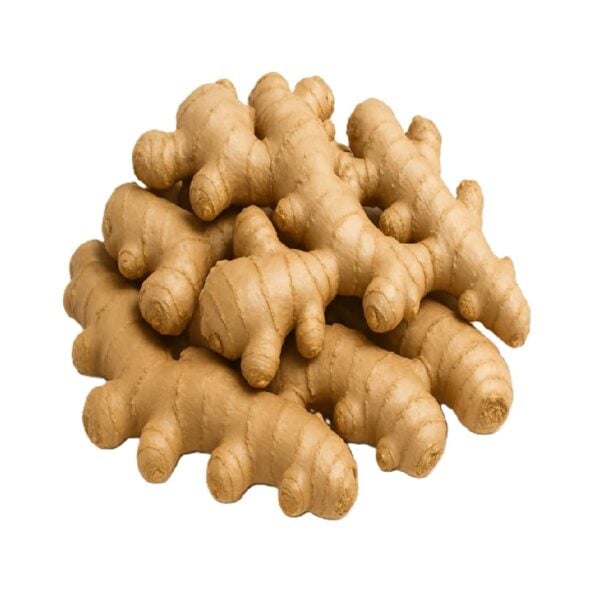 Jengibre Selecto