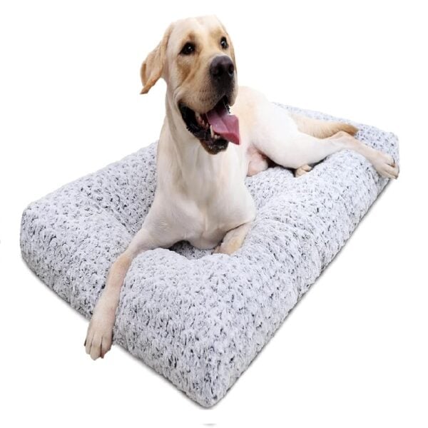 Cama Lavable para Perro