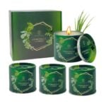 Velas de Citronela para Exteriores